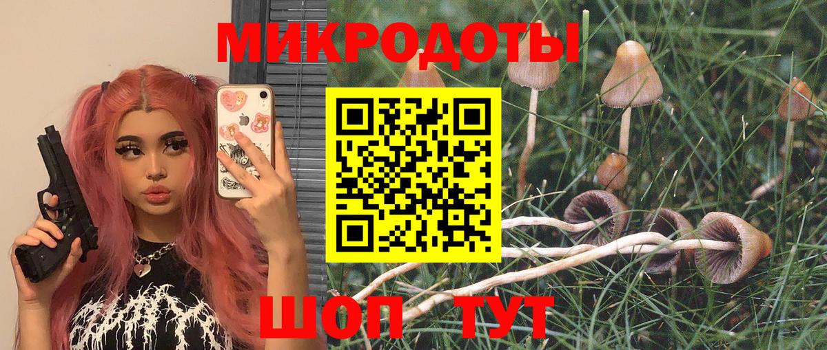 Галлюциногенные грибы Magic Shrooms Владимир