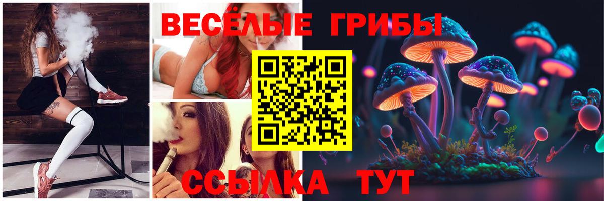Галлюциногенные грибы мухоморы  Вход с VPN  Галлюциногенные грибы GOLDEN TEACHER  Владимир 